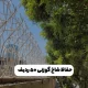 حفاظ شاخ گوزنی 50 ردیف