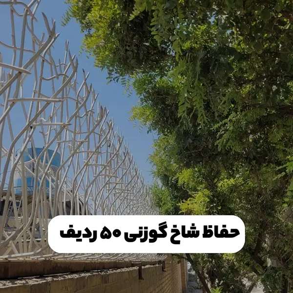 حفاظ-شاخ-گوزنی-50-ردیف حفاظ شاخ گوزنی 50 ردیف