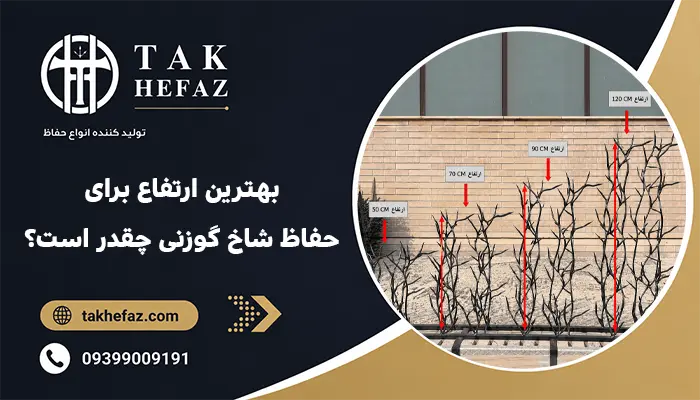 بهترین ارتفاع برای حفاظ شاخ گوزنی چقدر است؟