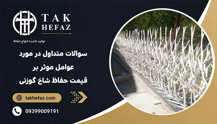 سوالات متداول
